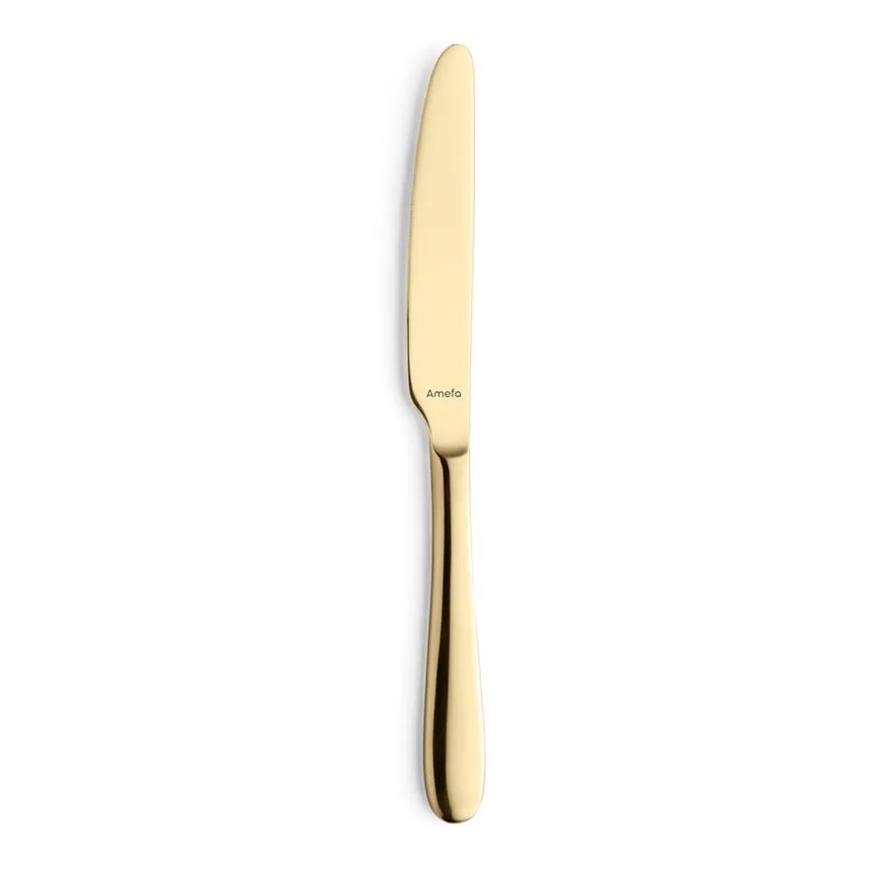 Amefa - Oxford 24-delige Bestekset 6 Personen PVD Hoogglans Goud - in luxe kist