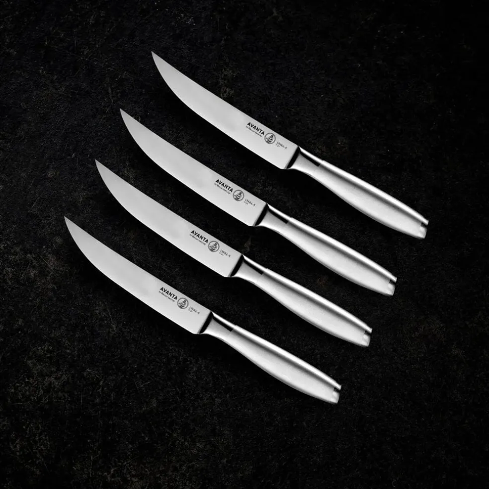 Messermeister - Avanta 4-delige zilvere steak messenset