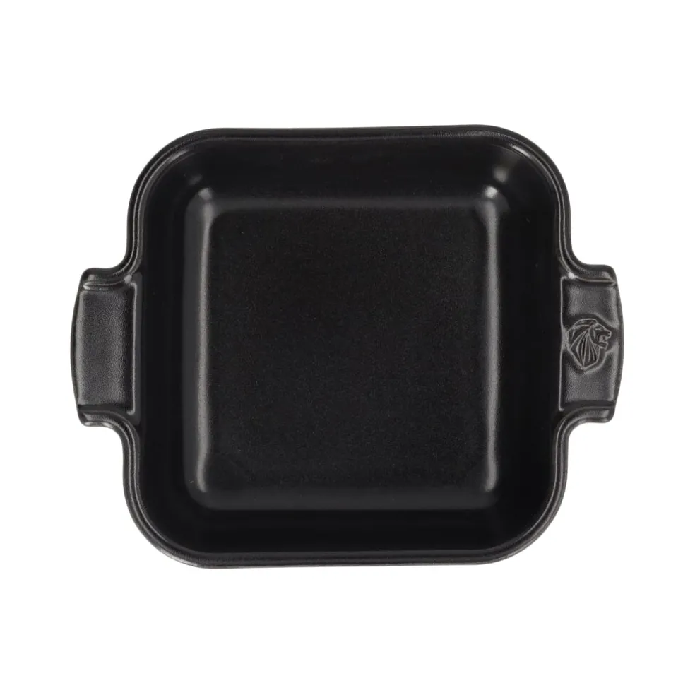 Peugeot - Appolia Ovenschaal Vierkant 18 cm Leisteen